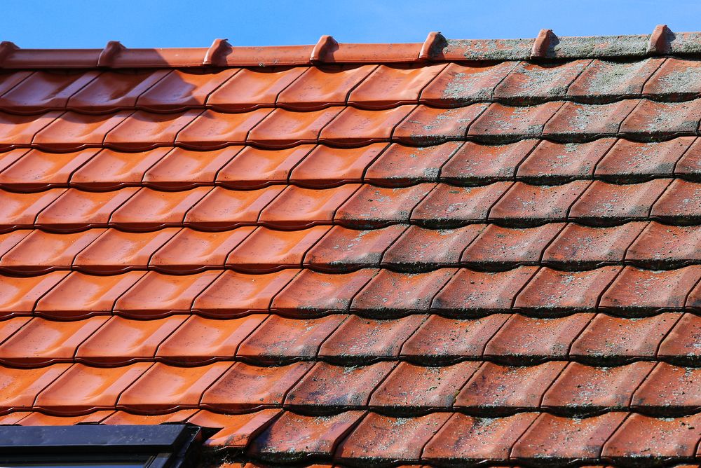 Dakpannen laten reinigen Diensten dakonderhoud