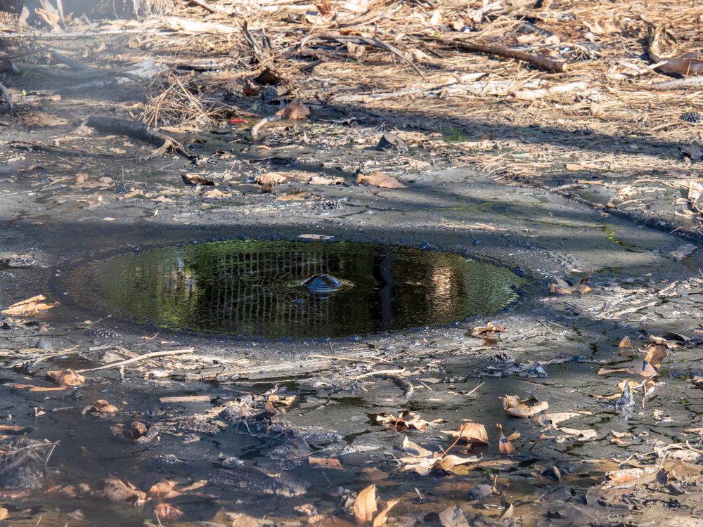 Stilstaand water zorgt voor daklekkage Diensten daklekkage